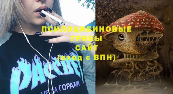 ешки Кодинск