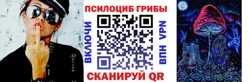 Купить  Темников  Галлюциногенные грибы Cubensis 