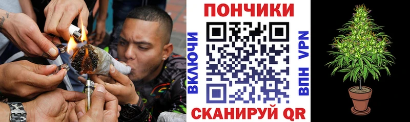 Купить закладки  Темников  МАРИХУАНА сатива 